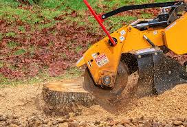 Lawn Maintenance Plans in Coalinga, CA
